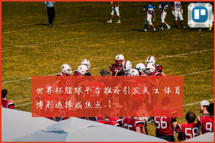 世界杯赌球平台推荐引发关注 体育博彩选择成焦点_1
