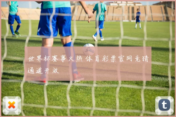 世界杯赛事火热 体育彩票官网竞猜通道开放