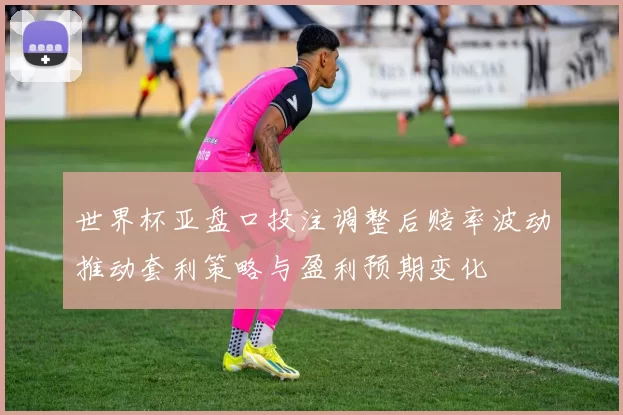 世界杯亚盘口投注调整后赔率波动推动套利策略与盈利预期变化